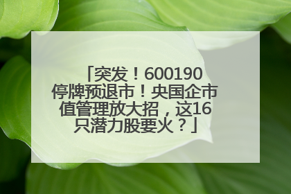 突发！600190停牌预退市！央国企市值管理放大招，这16只潜力股要火？