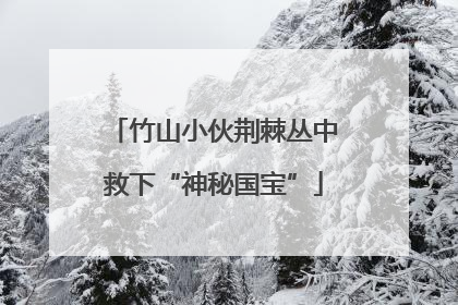 竹山小伙荆棘丛中救下“神秘国宝”