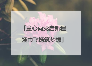 童心向党启新程 领巾飞扬筑梦想