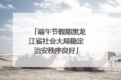 端午节假期黑龙江省社会大局稳定治安秩序良好