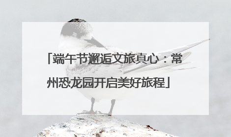 端午节邂逅文旅真心：常州恐龙园开启美好旅程