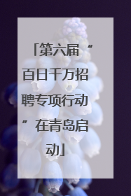 第六届“百日千万招聘专项行动”在青岛启动