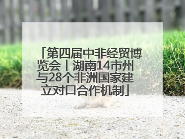 第四届中非经贸博览会丨湖南14市州与28个非洲国家建立对口合作机制