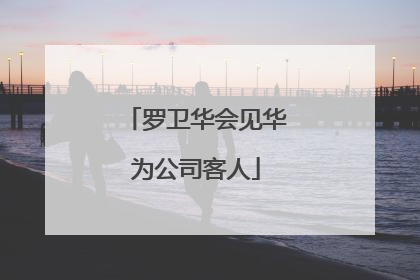 罗卫华会见华为公司客人
