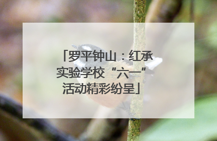 罗平钟山：红承实验学校“六一”活动精彩纷呈
