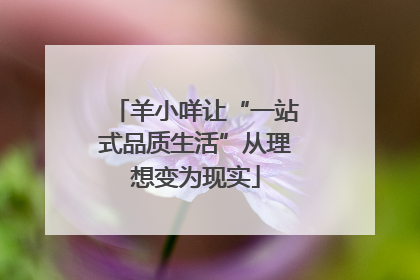 羊小咩让“一站式品质生活”从理想变为现实