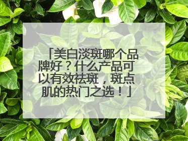 美白淡斑哪个品牌好？什么产品可以有效祛斑，斑点肌的热门之选！