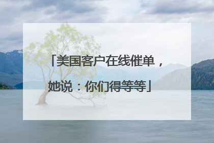 美国客户在线催单，她说：你们得等等
