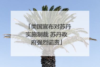 美国宣布对苏丹实施制裁 苏丹政府强烈谴责