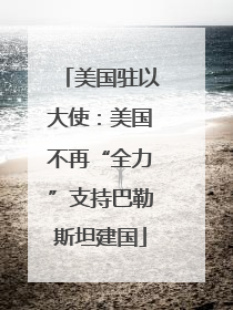 美国驻以大使：美国不再“全力”支持巴勒斯坦建国