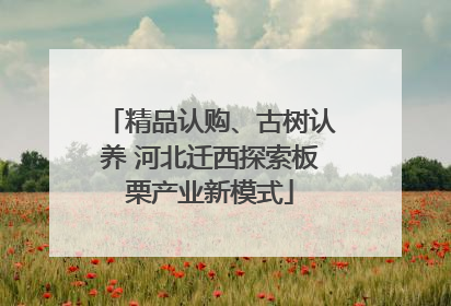 精品认购、古树认养 河北迁西探索板栗产业新模式