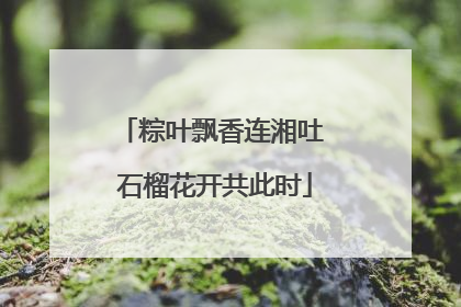 粽叶飘香连湘吐 石榴花开共此时