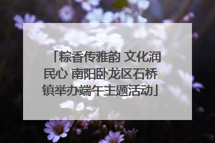 粽香传雅韵 文化润民心 南阳卧龙区石桥镇举办端午主题活动