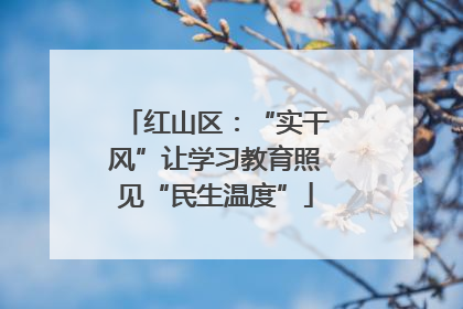 红山区：“实干风”让学习教育照见“民生温度”