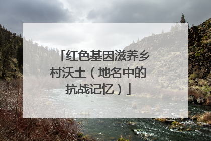 红色基因滋养乡村沃土（地名中的抗战记忆）