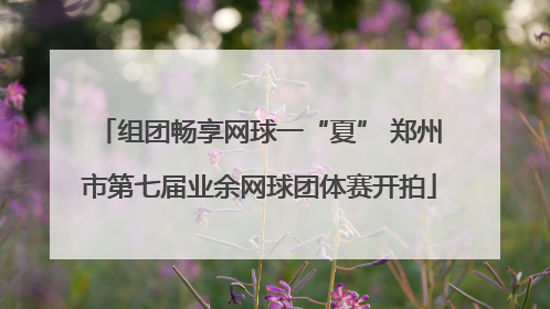 组团畅享网球一“夏” 郑州市第七届业余网球团体赛开拍