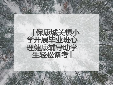 保康城关镇小学开展毕业班心理健康辅导助学生轻松备考