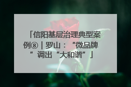 信阳基层治理典型案例⑧｜罗山：“微品牌”调出“大和谐”