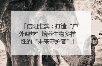 信阳淮滨：打造“户外课堂”培养生物多样性的“未来守护者”