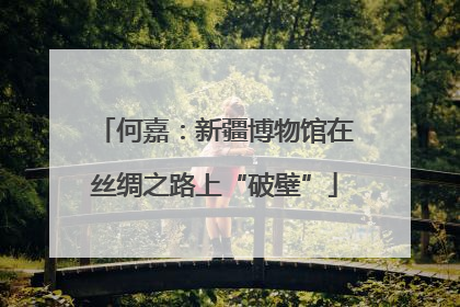 何嘉：新疆博物馆在丝绸之路上“破壁”