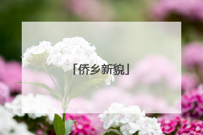 侨乡新貌