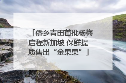 侨乡青田首批杨梅启程新加坡 保鲜提质售出“金果果”