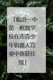 临汾一中第一附属学校在市青少年机器人竞赛中喜获佳绩