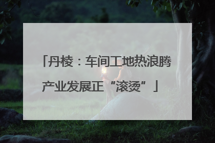 丹棱：车间工地热浪腾产业发展正“滚烫”