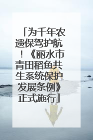 为千年农遗保驾护航！《丽水市青田稻鱼共生系统保护发展条例》正式施行