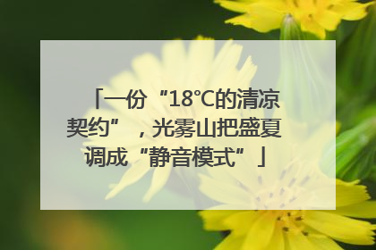 一份“18℃的清凉契约”，光雾山把盛夏调成“静音模式”