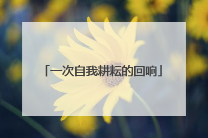 一次自我耕耘的回响