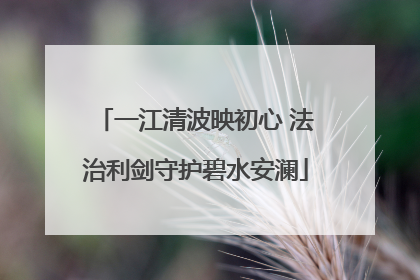 一江清波映初心 法治利剑守护碧水安澜