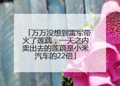 万万没想到雷军带火了莲藕，一天之内卖出去的莲藕是小米汽车的22倍