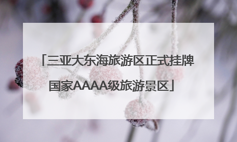 三亚大东海旅游区正式挂牌国家AAAA级旅游景区