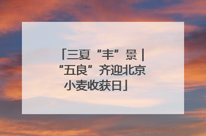 三夏“丰”景｜“五良”齐迎北京小麦收获日