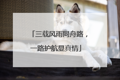 三载风雨同舟路，一路护航显真情