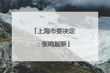 上海市委决定：张鸣履新