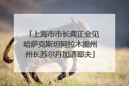 上海市市长龚正会见哈萨克斯坦阿拉木图州州长苏尔丹加济耶夫