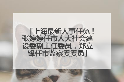 上海最新人事任免！张婷婷任市人大社会建设委副主任委员，郑立锋任市监察委委员