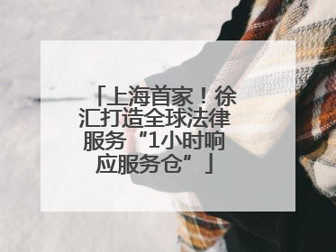 上海首家！徐汇打造全球法律服务“1小时响应服务仓”