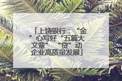 上饶银行：“金”心写好“五篇大文章” “贷”动企业高质量发展