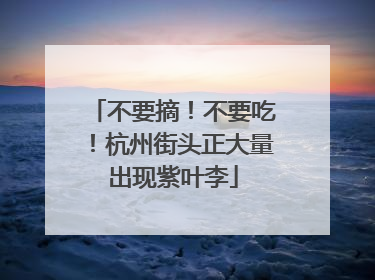 不要摘！不要吃！杭州街头正大量出现紫叶李