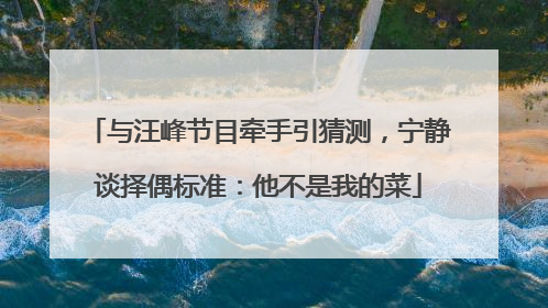 与汪峰节目牵手引猜测，宁静谈择偶标准：他不是我的菜