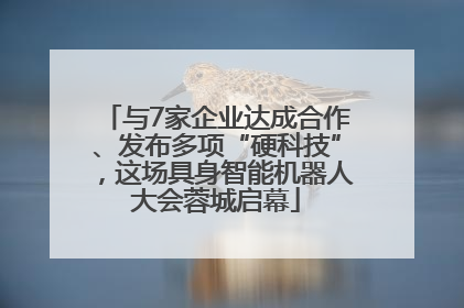 与7家企业达成合作、发布多项“硬科技”，这场具身智能机器人大会蓉城启幕