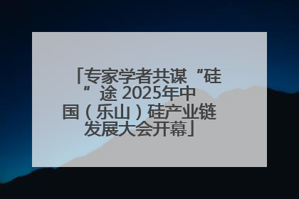专家学者共谋“硅”途 2025年中国（乐山）硅产业链发展大会开幕