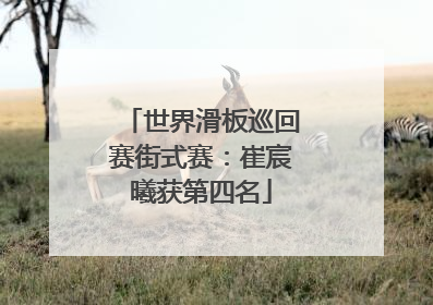 世界滑板巡回赛街式赛：崔宸曦获第四名