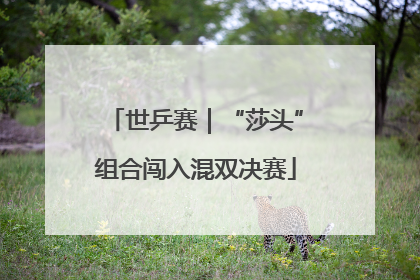 世乒赛｜“莎头”组合闯入混双决赛
