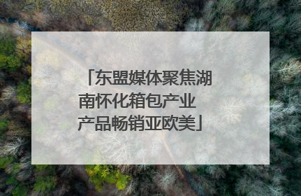 东盟媒体聚焦湖南怀化箱包产业 产品畅销亚欧美