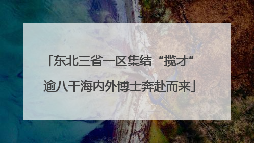 东北三省一区集结“揽才” 逾八千海内外博士奔赴而来