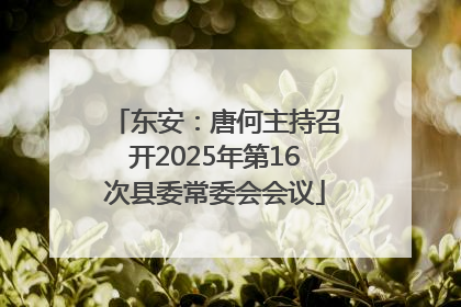 东安：唐何主持召开2025年第16次县委常委会会议